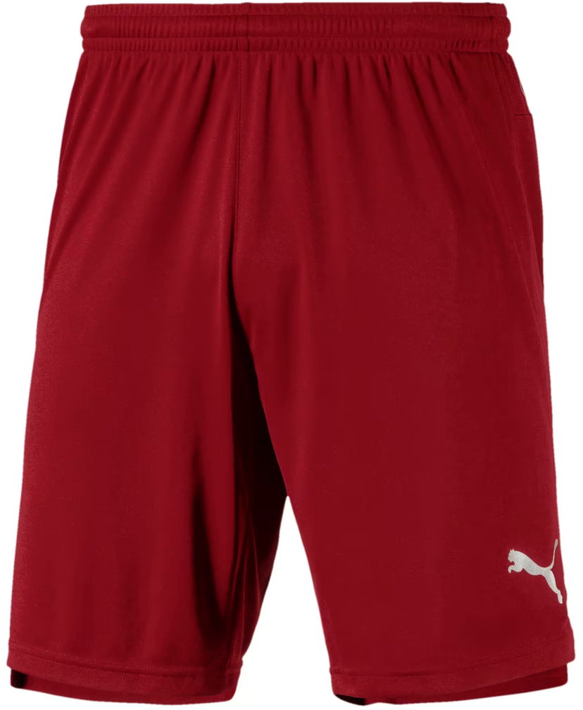 Shorts Puma Shorts Röd | 655573-002