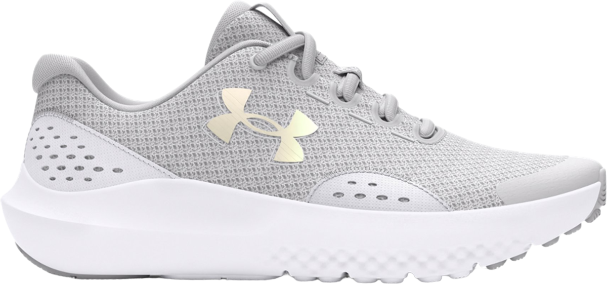 Sneakers och skor Under Armour UA GGS Surge 4 Grå | 3027108-100, 0