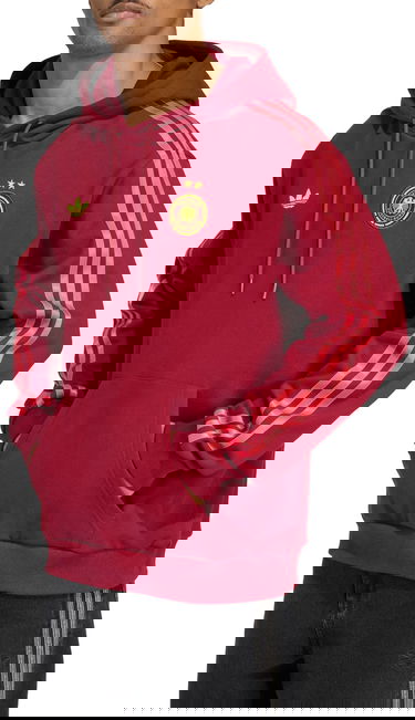 Sweatshirt adidas Originals adidas Originals DFB Hoodie Bourgogne | jj2738, 1