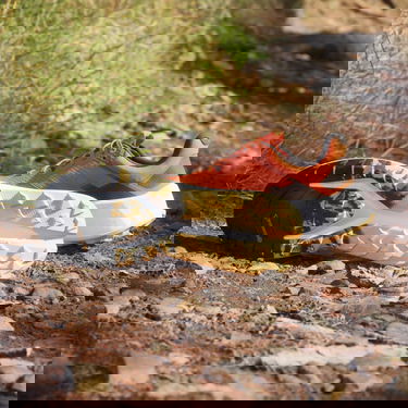 Sneakers och skor adidas Performance adidas TERREX Röd | IE8455, 4