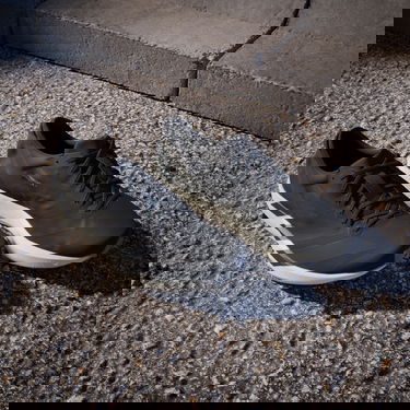 Sneakers och skor adidas Performance ADIZERO ADIOS 9 Svart | ih5751, 7