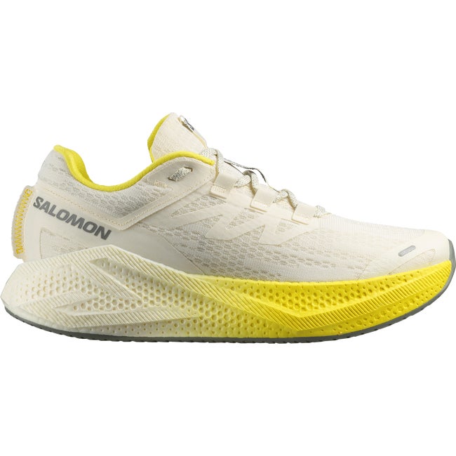 Sneakers och skor Salomon Aero Glide 3 Flerfärgad | L47975900