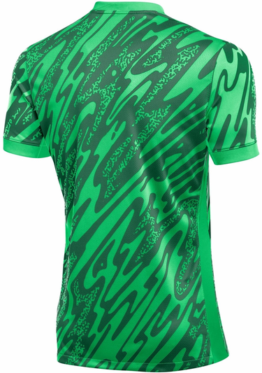 Jersey Nike Nike Gardien V GK Soccer Jersey Grön | fd7482-329, 1