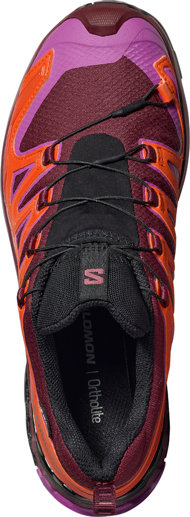 Sneakers och skor Salomon Salomon XA PRO 3D V9 GTX Purpur | l47961900, 1