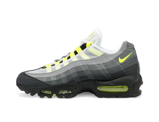 Sneakers och skor Nike Air Max 95 OG Grå | CT1689-001