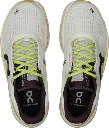 Sneakers och skor On Running Cloudmonster 2 Grå | 3we10112260, 4