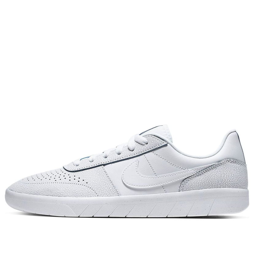 Sneakers och skor Nike SB SB Team Classic Premium Vit | AR0767-100