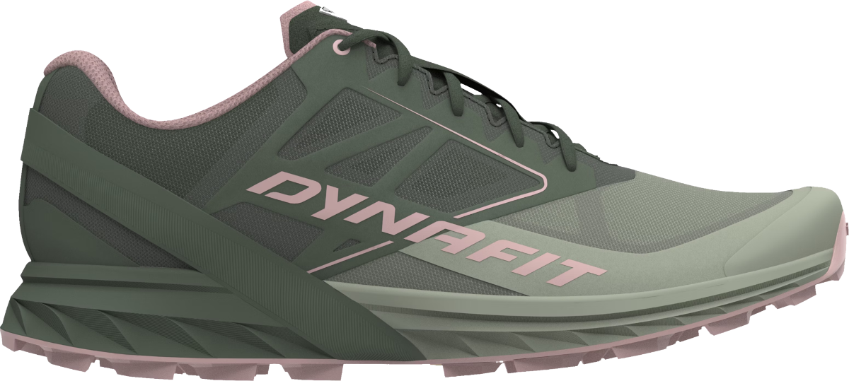 Sneakers och skor Dynafit ALPINE W Grön | 08-0000064065-5654, 0