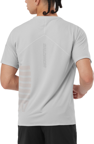 T-shirt Salomon SENSE AERO SS TEE GFX M Grå | lc2188700, 1