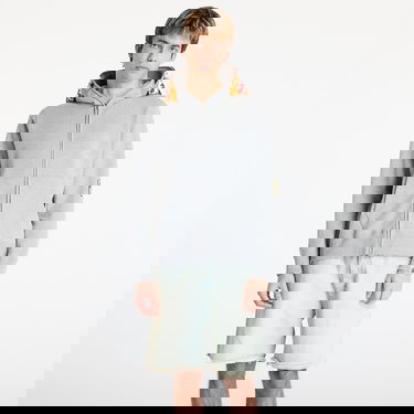 Sweatshirt BAPE A BATHING APE Tiger Full Zip Hoodie Grå | 001ZPL301006MGRA, 0