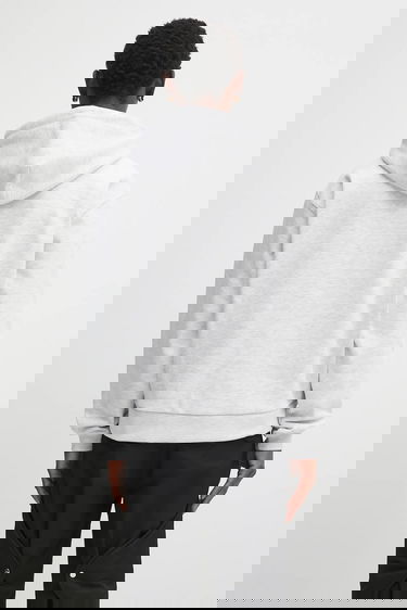 Sweatshirt The North Face Redbox Celebration Hoodie Grå | NF0A8EFZE041, 2