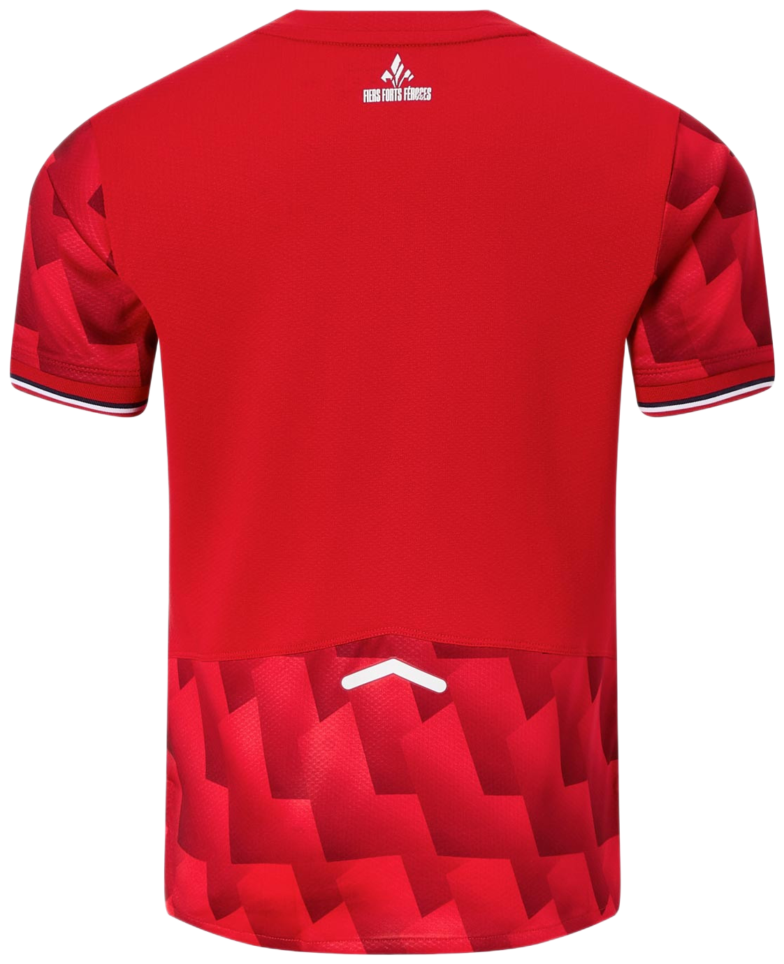 Jersey New Balance LOSC Lille Home Jersey 2025/26 Kids Röd | jt230454-hme, 1