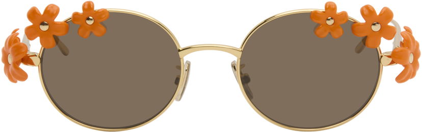 Solglasögon Loewe Paula's Ibiza Daisy Field Round Daisy-Embellished Sunglasses Orange | LW40173UW5130F 192337236198
