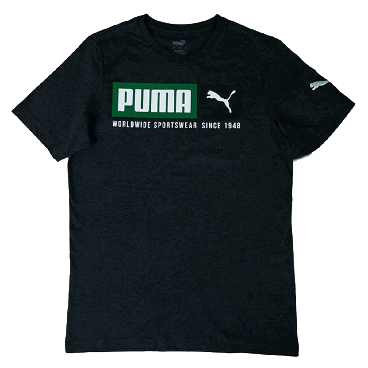 T-shirt Puma T-Shirt Blank Base Svart | 673144-01, 0
