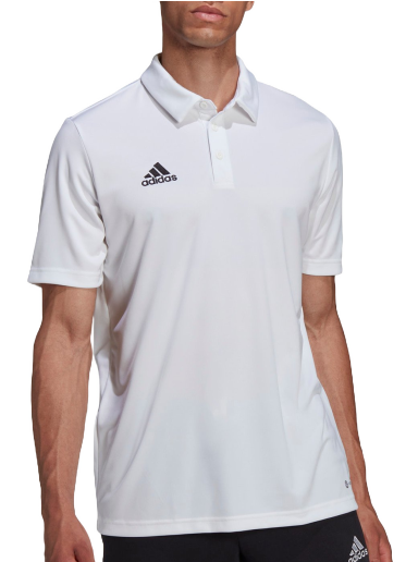 Polotröja adidas Originals Entrada 22 Polo Vit | hc5067