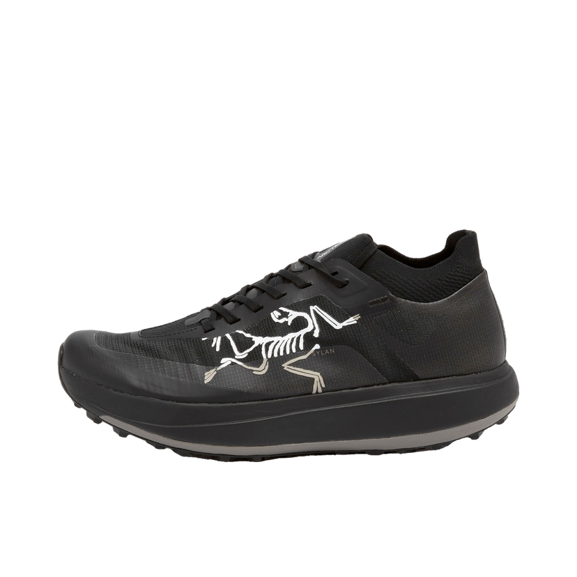 Sneakers och skor Arcteryx Sylan Pro, UK 10 Svart | X000010077-021572