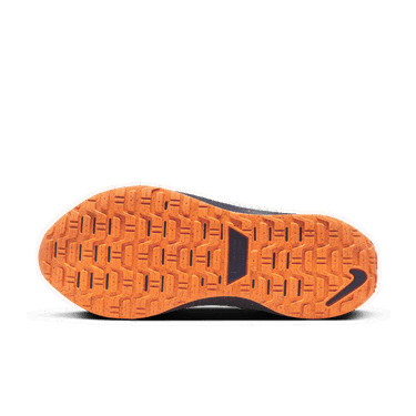 Sneakers och skor Nike InfinityRN 4 GORE-TEX Beige | FB2204-002, 4