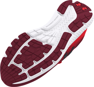 Sneakers och skor Under Armour UA Charged Rogue 4 Röd | 3026998-600, 2