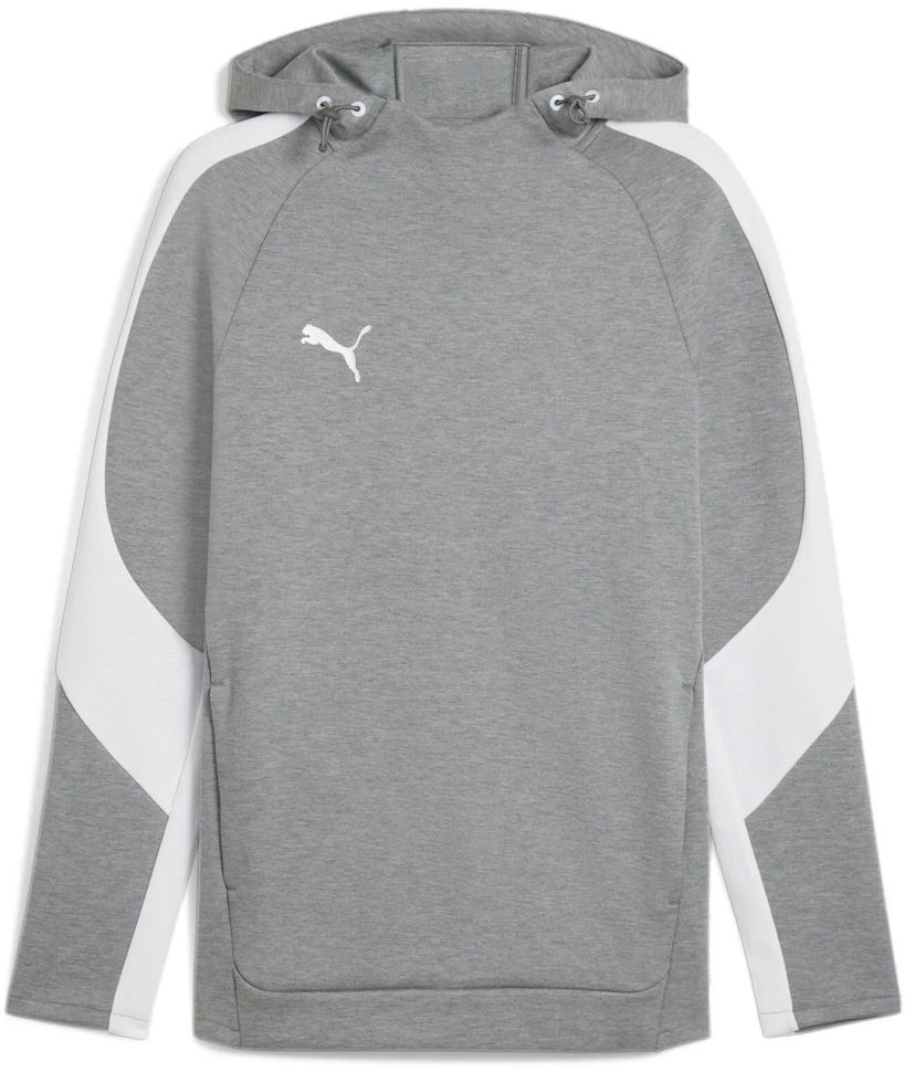 Sweatshirt Puma Puma teamEVOSTRIPE Hoodie Grå | 659954-33