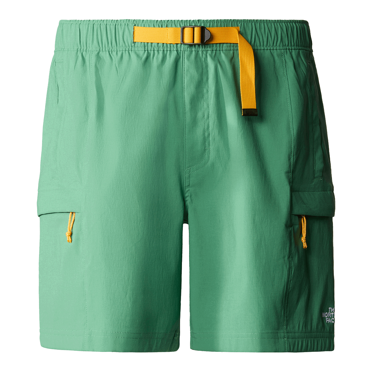 Shorts The North Face Class V Belted Cargo Short Grön | NF0A55V8N111, 0