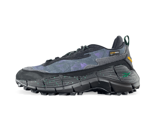 Löpning Reebok SOUTH2 WEST8 x Zig Kinetica 2.5 Edge Grå | HP2991