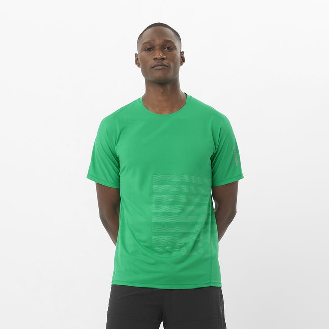 T-shirt Salomon Aero Graphic T-Shirt Grön | LC2694700