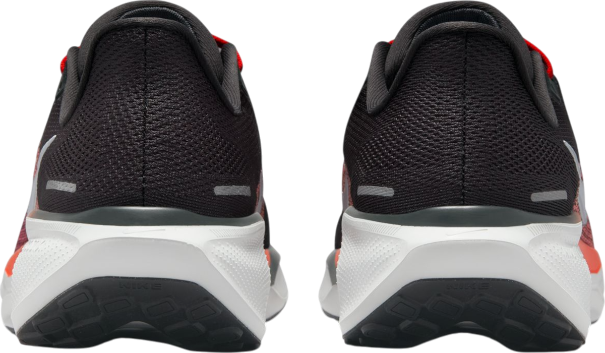 Sneakers och skor Nike Pegasus 41 Röd | fd2722-008, 1