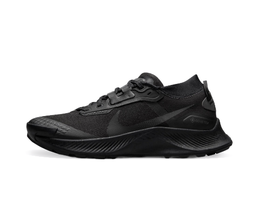 Löpning Nike Pegasus Trail 3 GTX W Svart | dc8794-001