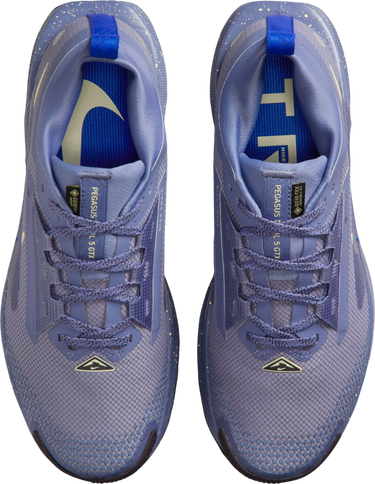 Sneakers och skor Nike Pegasus Trail 5 GORE-TEX Purpur | fq0912-402, 2