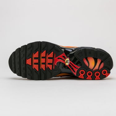 Sneakers och skor Nike Air Max Plus Flerfärgad | DA1514-001, 4