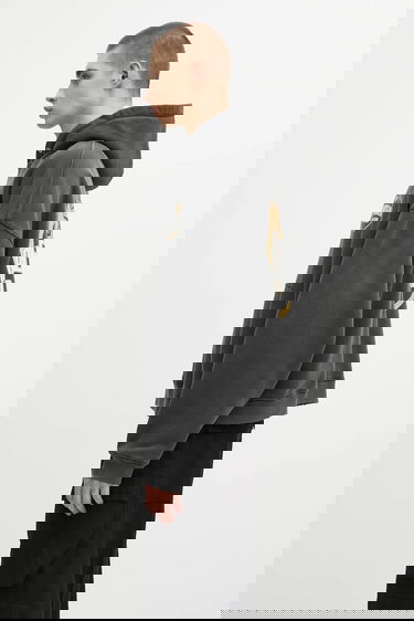 Sweatshirt Represent Clo Represent Legacy Crest Hoodie Grå | MLM100368, 1