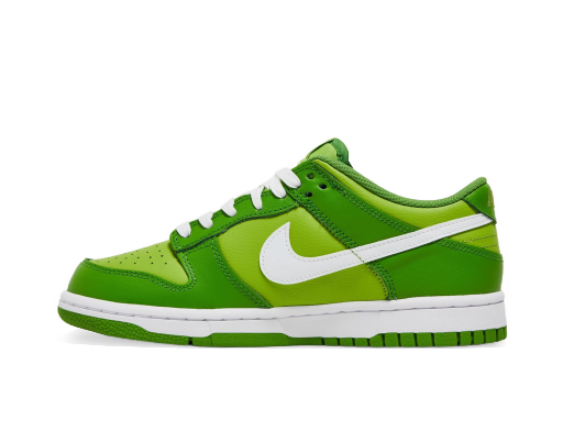 Sneakers och skor Nike Dunk Low "Dark Chlorophyll" GS Grön | DH9765-301