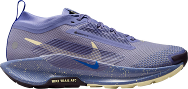 Sneakers och skor Nike Pegasus Trail 5 GORE-TEX Purpur | fq0912-402, 0