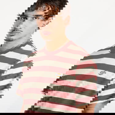 T-shirt Dickies T-shirt Striped Rivergrove Ss Tee Flerfärgad | DK0A4Y8YL161, 1