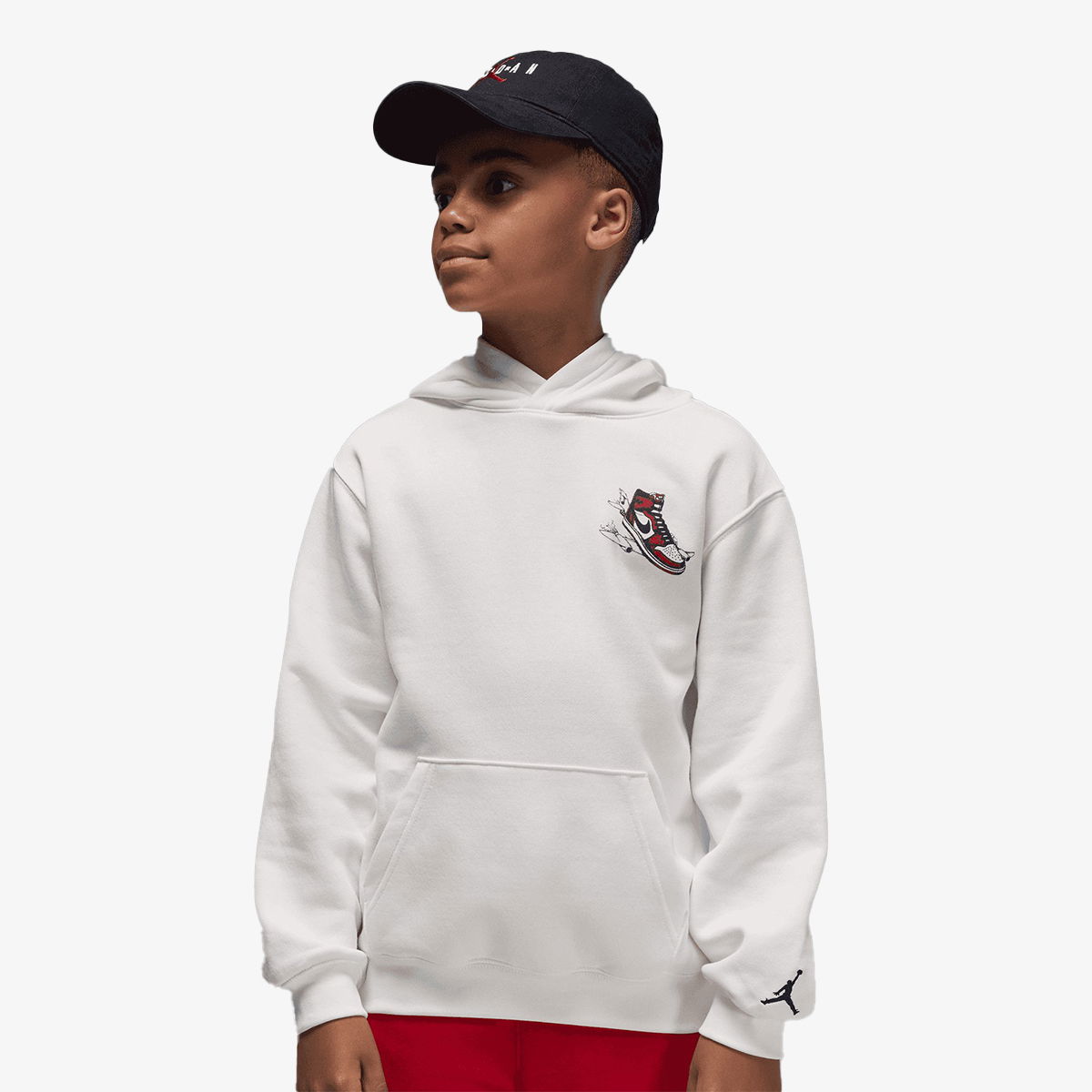 Sweatshirt Jordan Jordan Landed Hoodie Vit | 95F281-782, 0