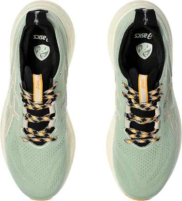 Sneakers och skor Asics GEL-NIMBUS 26 TR Grå | 1011b849-250, 2