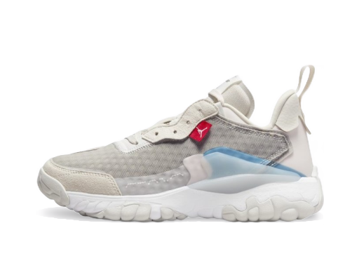 Sneakers och skor Jordan Jordan Delta 2 SE W Grå | DH5879-106
