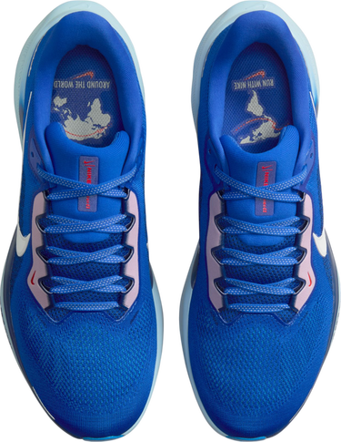Sneakers och skor Nike Pegasus 41 Premium Blå | hq1717-400, 2