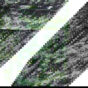 Cargo byxor Pleasures Natural Cargo Pants Multi Grön | P23SP038-MULTI, 6