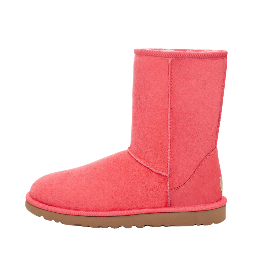 Sneakers och skor UGG Classic Short II Boot Nantucket Rosa | 1016223-NTCR