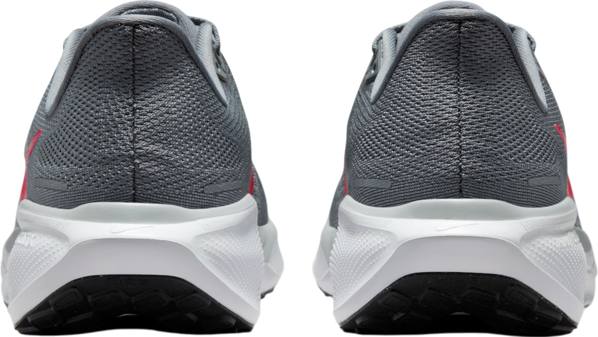 Sneakers och skor Nike Pegasus 41 Grå | fd2722-013, 1