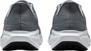 Sneakers och skor Nike Pegasus 41 Grå | fd2722-013, 1
