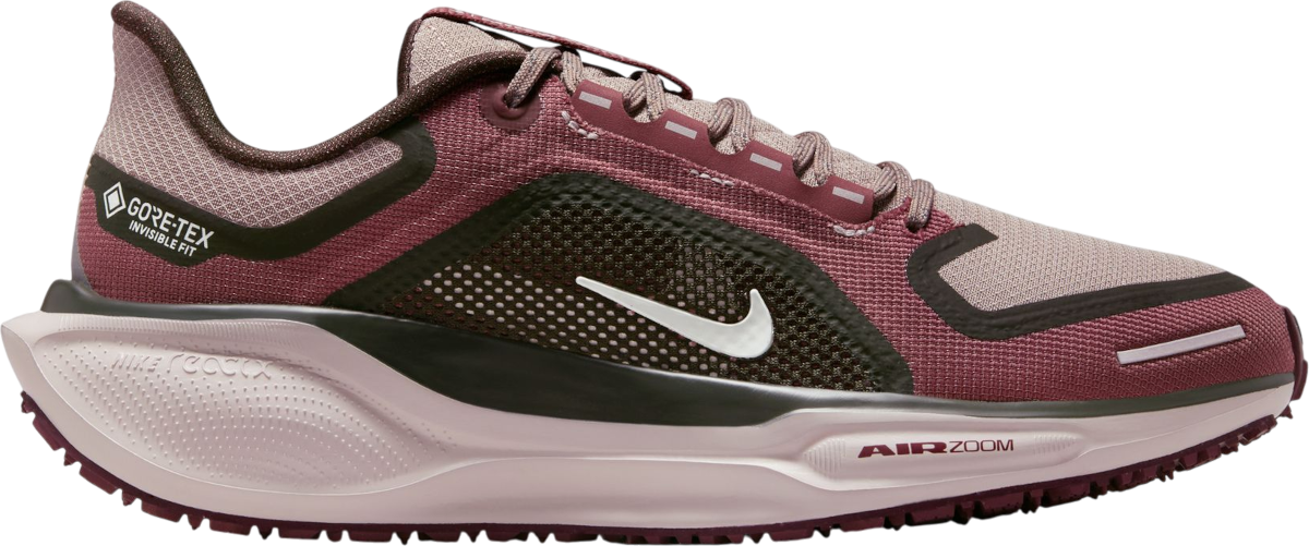 Sneakers och skor Nike Pegasus 41 GORE-TEX Bourgogne | fq1357-200, 0
