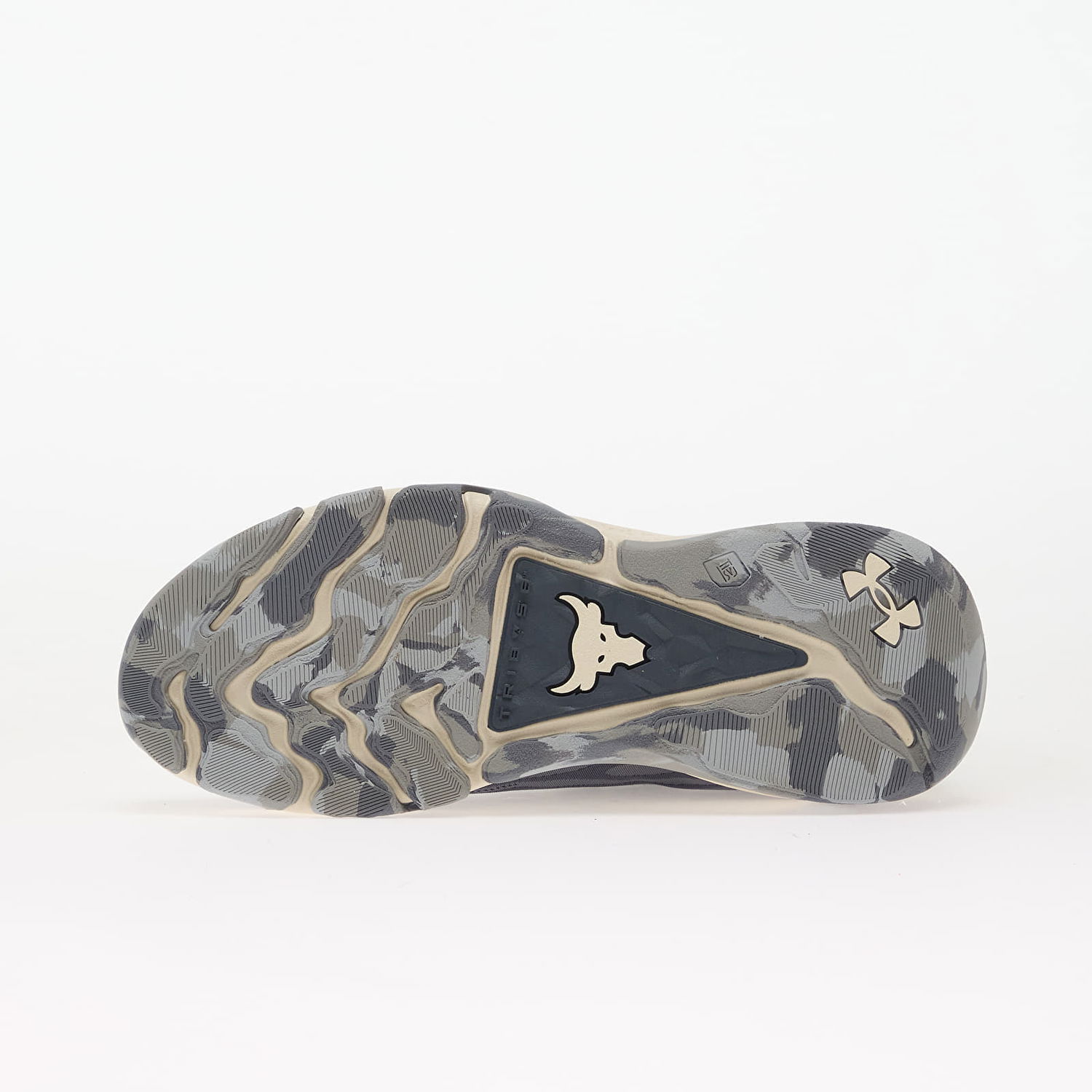Sneakers och skor Under Armour Project Rock 8 Grey Grå | 6000852-044, 1