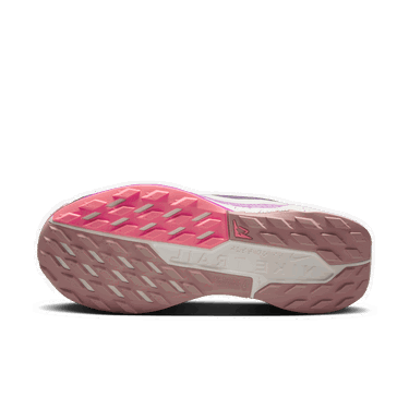 Sneakers och skor Nike Pegasus Trail 5 Blå | DV3865-401, 2