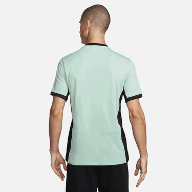 Jersey Nike Dri-FIT Chelsea F.C. 2023/24 Stadium Third Football Shirt Grön | DX9819-354, 1