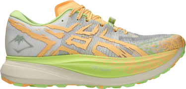 Sneakers och skor Asics METAFUJI TRAIL Flerfärgad | 1013a141-100, 0