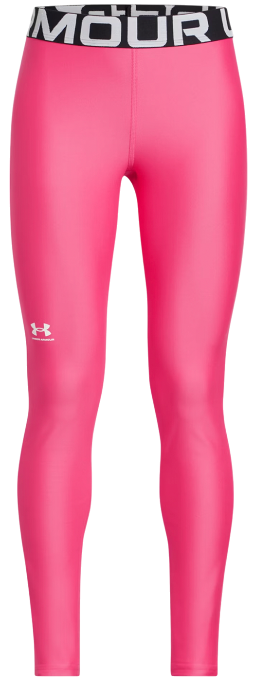 Damasker Under Armour Under Armour HG Leggings Rosa | 1390069-672