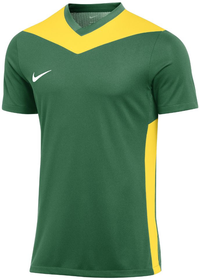Jersey Nike NK DF PRK DRB IV JSY SS Grön | fd7430-303