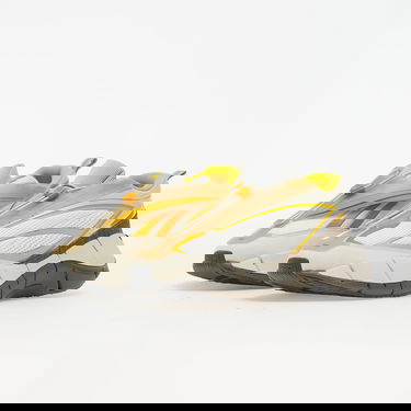 Sneakers och skor Reebok Zig 3D Storm Beige | G55691, 4